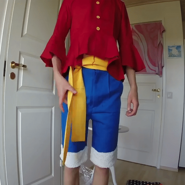 One Piece Monkey D. Luffy Costumes