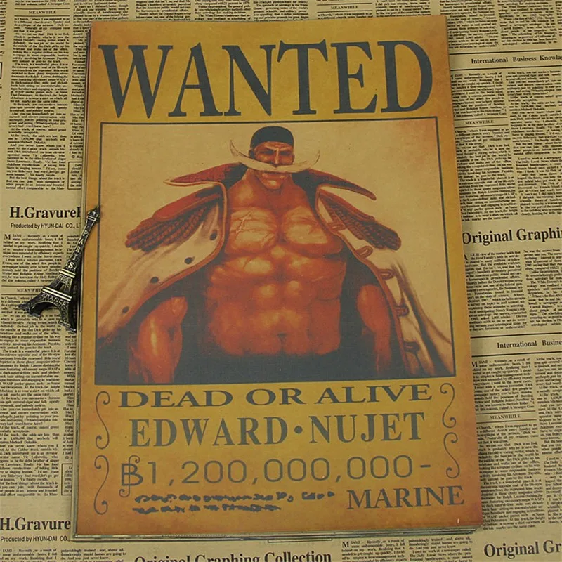 One Piece Most Wanted Poster